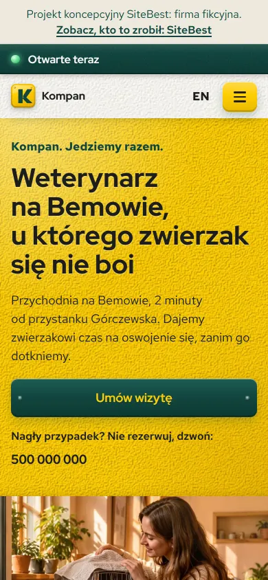 Kompan website on a phone - screenshot of the live site