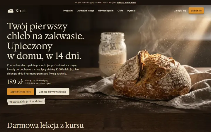 Krust website on desktop - screenshot of the live site