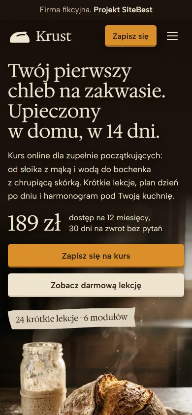 Krust website on a phone - screenshot of the live site