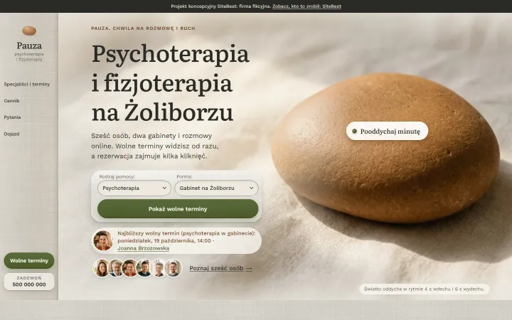 Pauza website on desktop - screenshot of the live site
