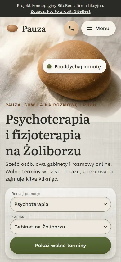 Pauza website on a phone - screenshot of the live site
