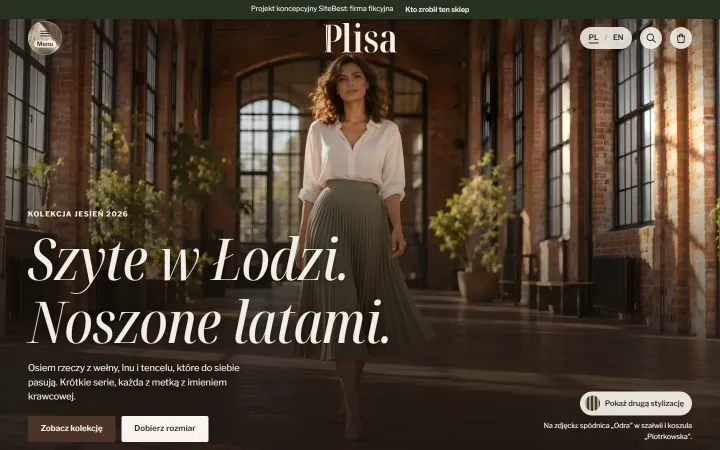 Plisa website on desktop - screenshot of the live site