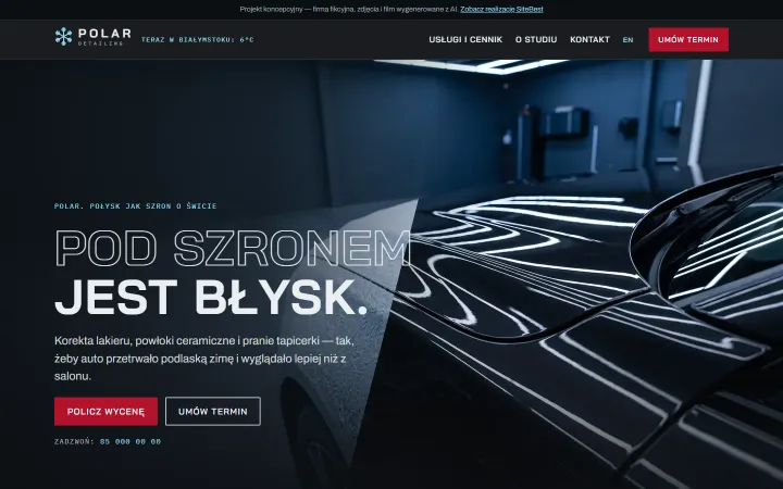POLAR website on desktop - screenshot of the live site