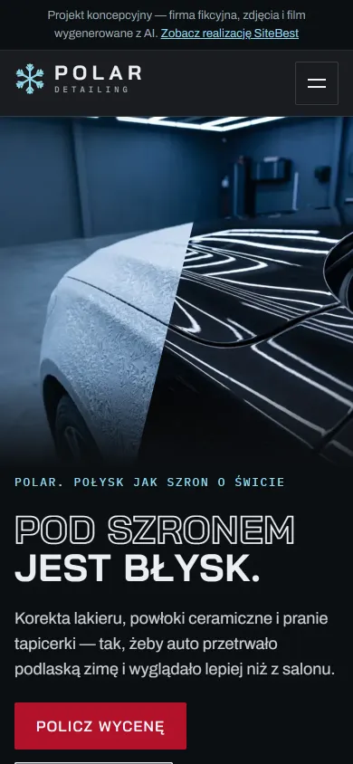 POLAR website on a phone - screenshot of the live site