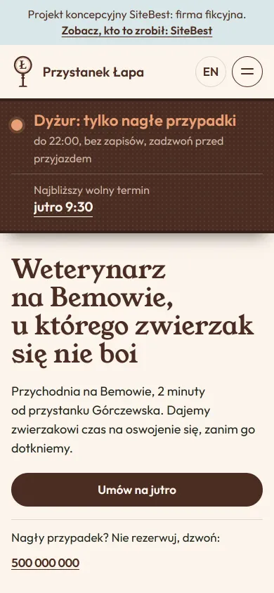 Przystanek Łapa website on a phone - screenshot of the live site