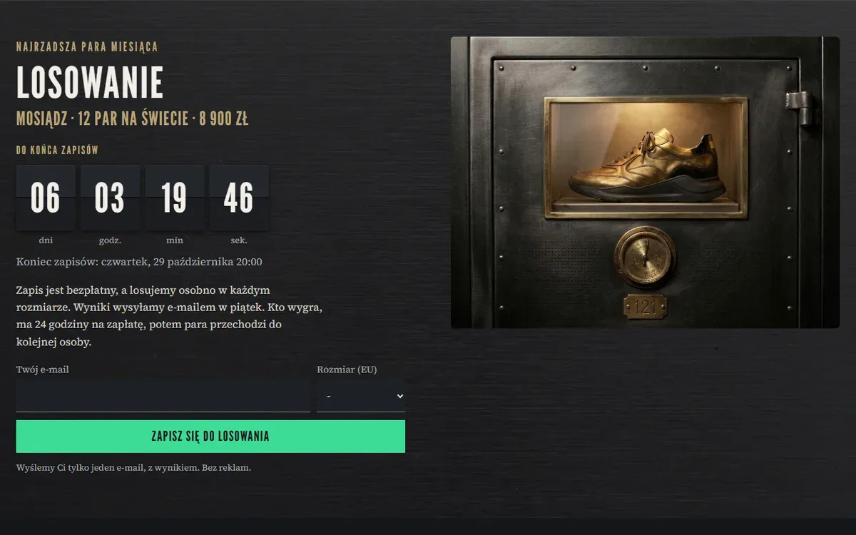The shoe from every side: part of the VAULT 43 website
